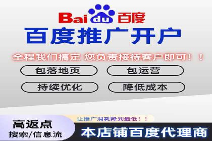 竞价推广技巧分享：成功案例剖析